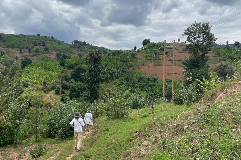 Desde Kigali: excursión de un día a los lagos gemelos Burera y Ruhondo