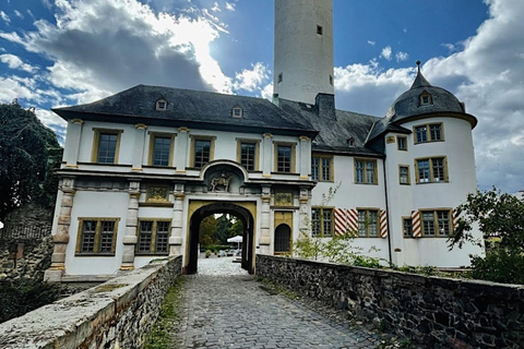 Tour privato dei musei e dei castelli di Francoforte