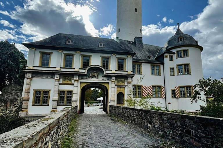 Tour privato dei musei e dei castelli di Francoforte