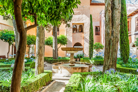 Granada: Alhambra & Nasrid Palaces Tour with Tickets Private Tour in French