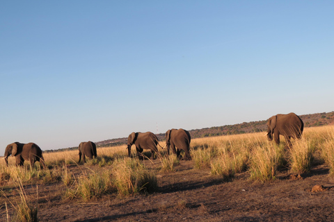 Hwange National Park & Victoria Falls 4-Day Safari Tour