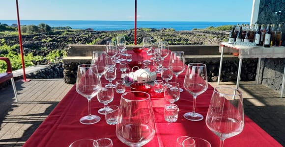 Terceira: Full-Day Tour with Vineyard Visit & Wine Tastings