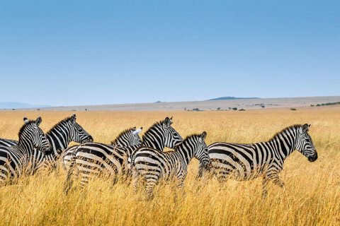 Beste 7-daagse safari in Tanzania met Afrika&#039;s mooiste avonturen