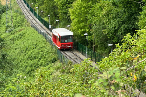 Bilbao: Artxanda Funicular and Basque medicinal plants Bilbao: Plantas medicinales y comestibles del País Vasco.