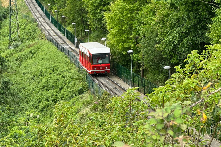 Bilbao: Artxanda Funicular and Basque medicinal plants Bilbao: Plantas medicinales y comestibles del País Vasco.