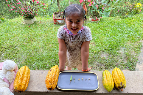 Medellin: Cocoa Farm Tour &amp; Chocolate Making, near the cityShared tour