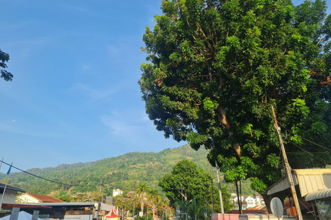 Penang: Cameron Highlands Tour