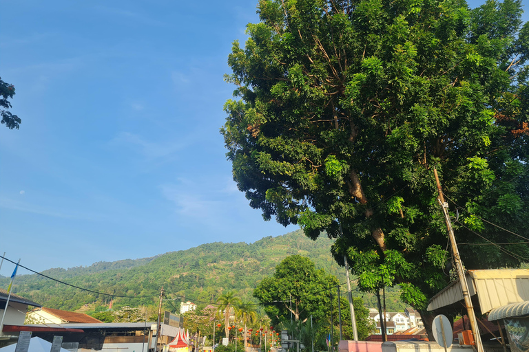 Penang: Cameron Highlands Tour