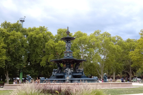 Flavors and wellness: wines, hot springs and gastronomy in Mendoza