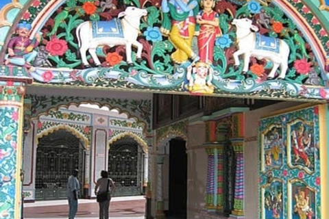 Mombasa City Highlights & Authentic Mijikenda Village Culture & Traditions