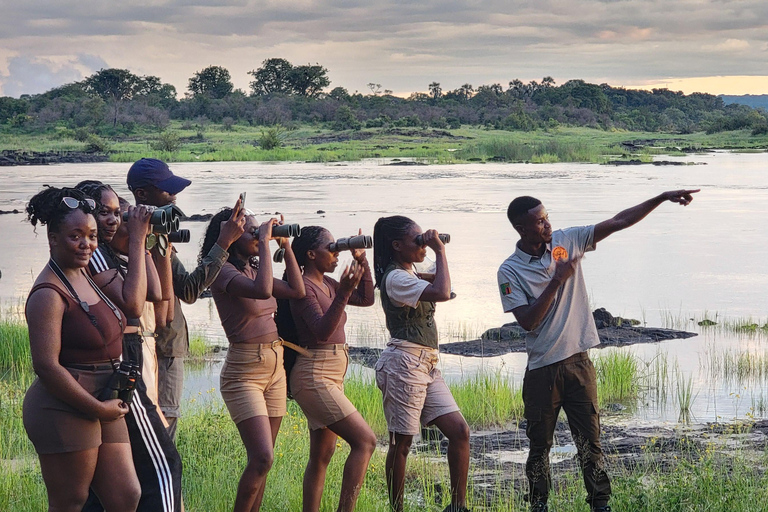 Livingstone: Rhino Sunset Safari with Snacks and Drinks