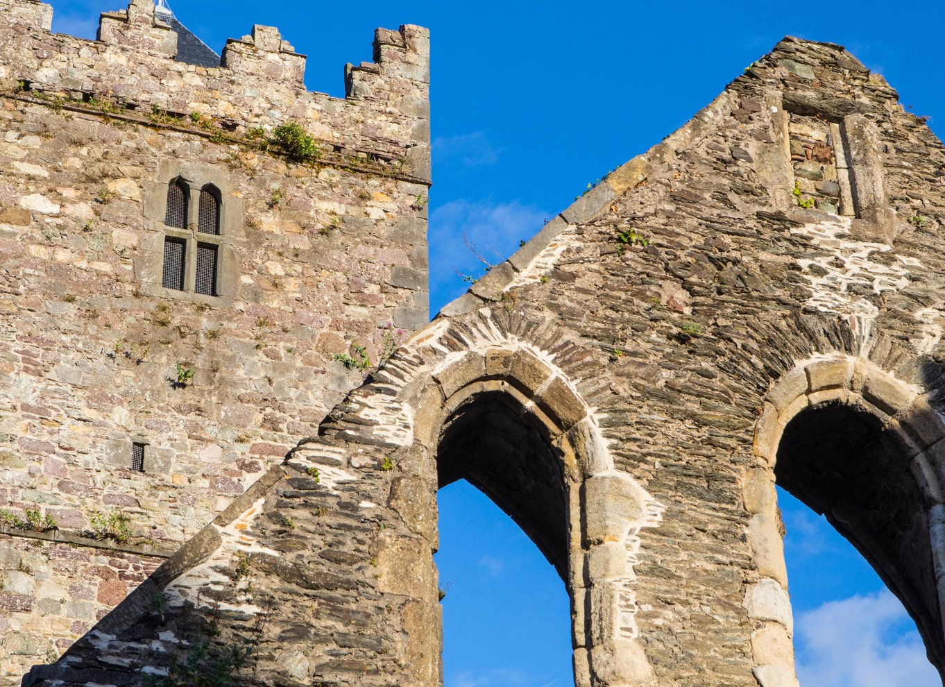Waterford: City Highlights Walking Tour