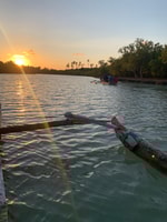 Diani, Sunset Canoe Tour a lo largo del río con manglares - Housity