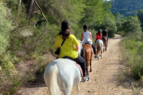Majorka: przejażdżka konna Randa Valley z piknikiem