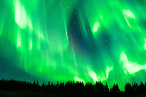 Rovaniemi: ✅ Northern Lights 100% Guarantee & Free Photos ✅ ✨ Small Group Northern Lights Hunting - Max 8 People ✨