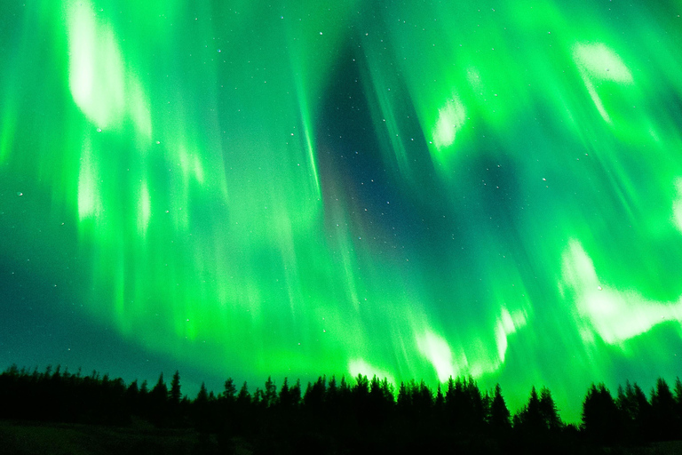 Rovaniemi: ✅ Northern Lights 100% Guarantee & Free Photos ✅ ✨ Small Group Northern Lights Hunting - Max 8 People ✨