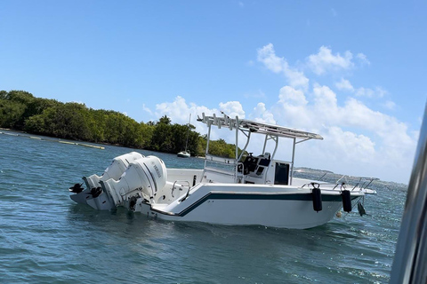 De San Juan: Viagem de 1 dia à Ilha de Icaco com comida e bebida