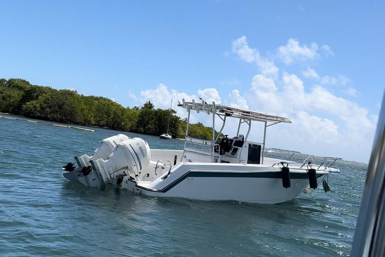 De San Juan: Viagem de 1 dia à Ilha de Icaco com comida e bebida