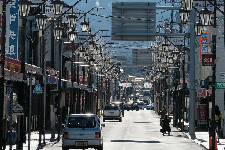 Tokyo: Privat dagsutflykt till Fuji-berget och Hakone