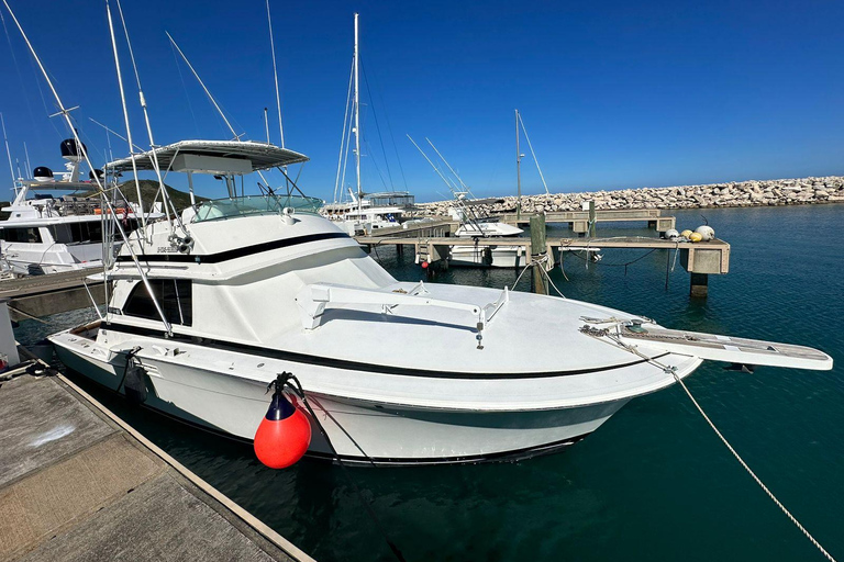 Puerto Plata: 5-Hour Deep Sea Fishing Adventure