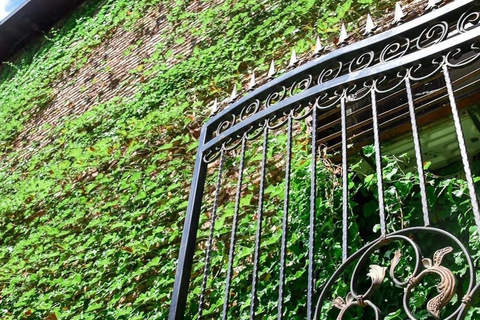 Tbilisi: 3-daags verblijf met stadstour en verborgen juweeltjes