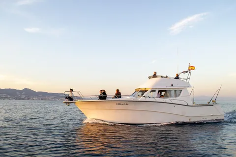 Fuengirola: Dolphin Watching Excursion with Refreshments