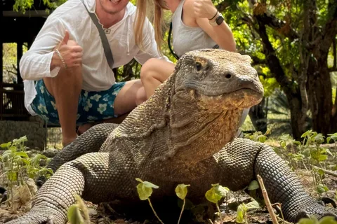 Labuan Bajo: Komodo en Pink Beach 2-daagse rondvaart met gedeelde boot