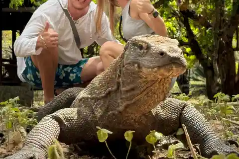 Labuan Bajo: Komodo and Pink Beach 2-Day Shared Boat Tour