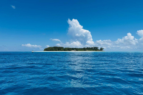 Zanzibar: Mnemba Island Snorkeling with Transfer & Lunch Mnemba Island Snorkeling with meeting ponit no lunch