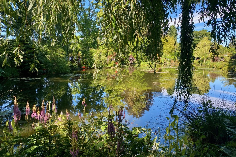 Visite de Giverny en petit groupe d'une demi-journée au départ de Paris – 7 personnes maximum