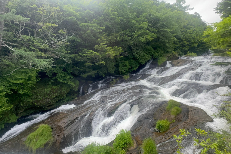 Nikko: Private Day Trip Nikko Private Day Trip with Hotel pickup/drop off