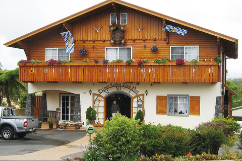 From Brisbane: Lamington National Park Rainforest Tour