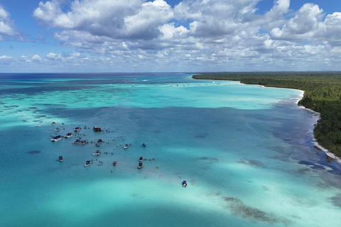 Saona Island: Premium Beach Tour