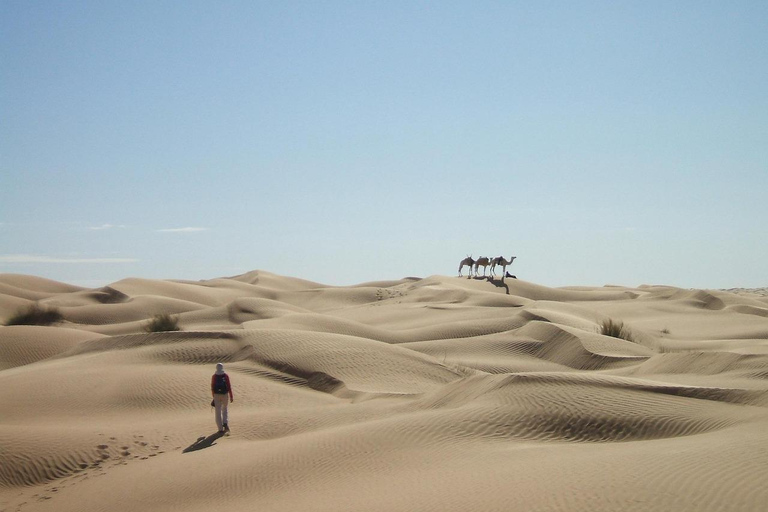 From Tunis: 3-Day Sahara Desert &amp; Bivouac Tour3-Day Sahara Desert &amp; Bivouac Tour in Tunisia