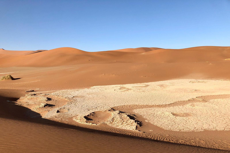 Windhoek: Namibia 12-Day Self-Drive Tour with Lodging