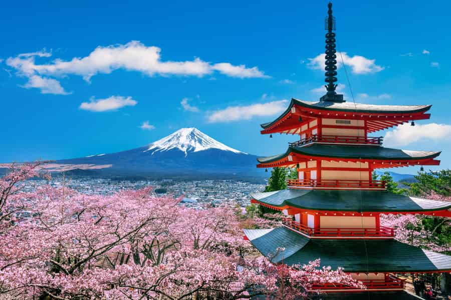 Von Tokio: Ganztagestour zum Fuji, privat und individuell anpassbar. Foto: GetYourGuide
