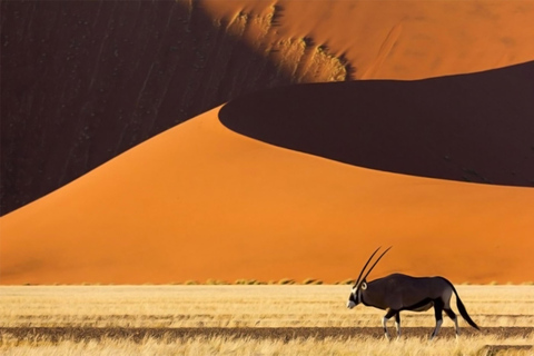 Excursión de Aventura Sabor a Namibia