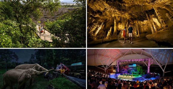 Singapore: Rainforest Wild Asia and Night Safari Guided Tour