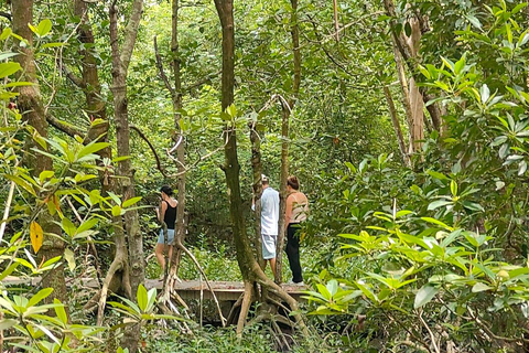 Penang: Balik Pulau Evening Cycling Tour w/ Hotel Transfers