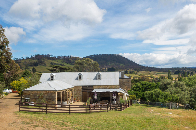 Hobart: Signature Saturday Tour