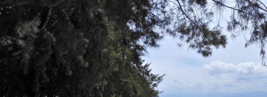 Kota Kinabalu : plongée avec tuba sur les îles Sapi et Manukan avec déjeuner