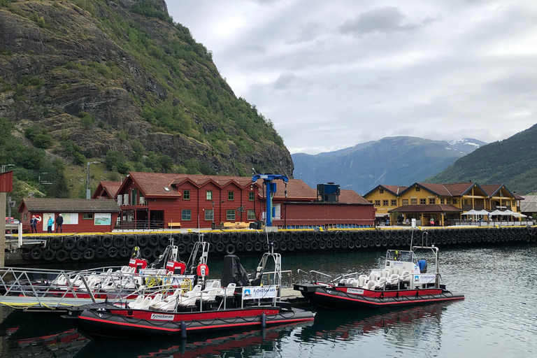 From Bergen: Day Trip with Flam Railway and Fjord Cruise