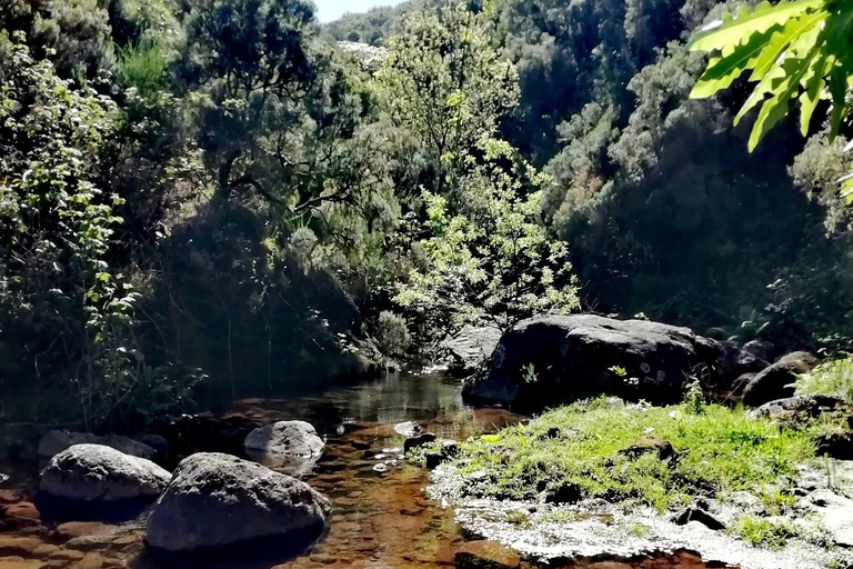 Madeira: 25 Fountains Rabaçal Forest Walk