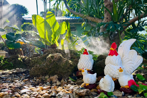 Chiangrai : Half Day Tour 3 Famous Temples / (Private tour)