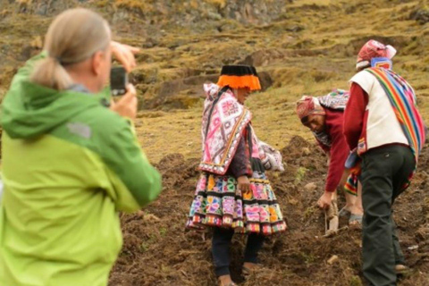 Cusco: Półdniowa wizyta w Parku Ziemniaka