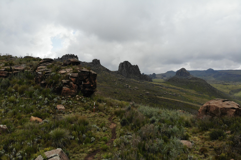 Aberdare National Park: Mount Satima Overnight Hike