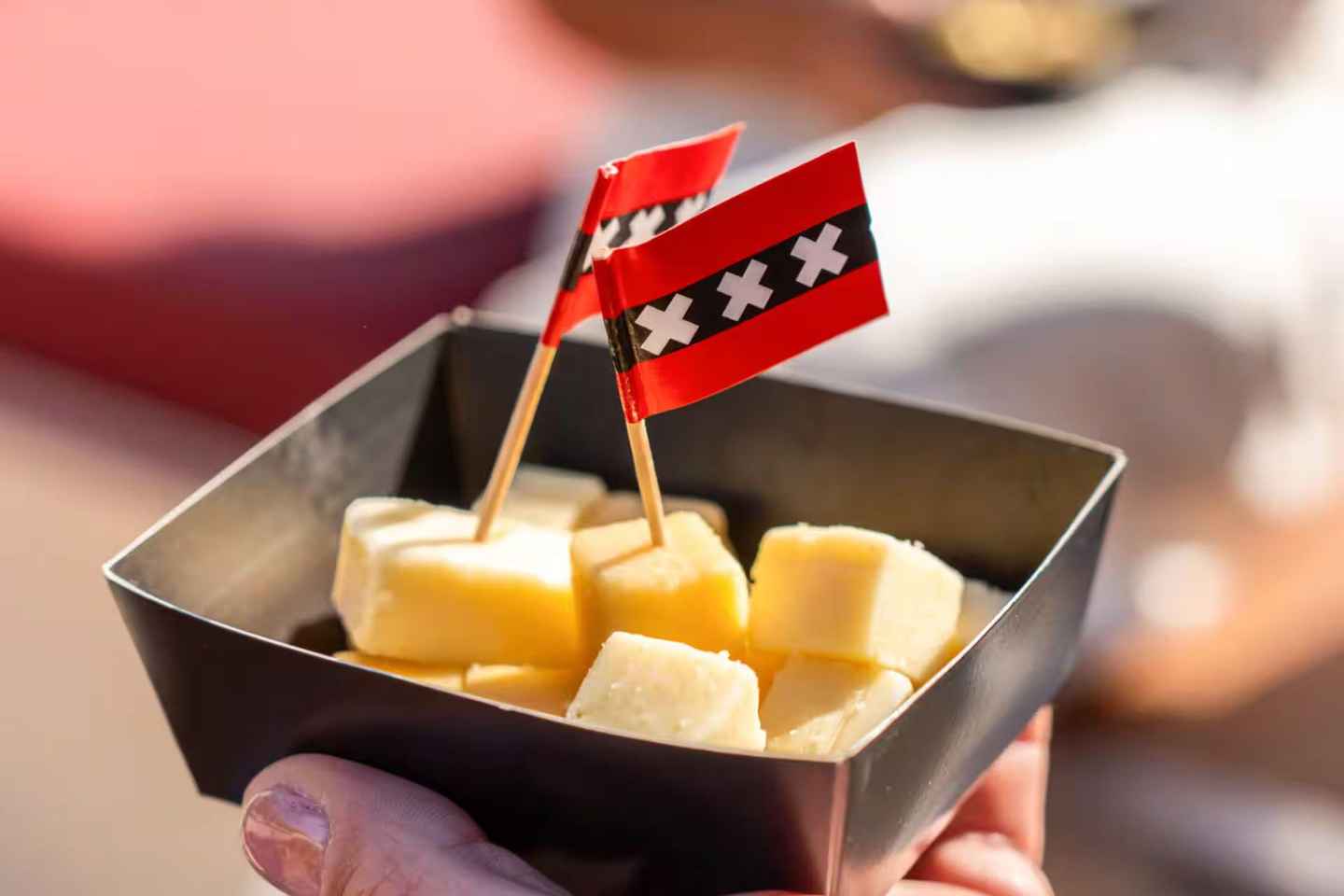 Cheese & Drinks Guided Amsterdam Boat Tour, All Inclusive