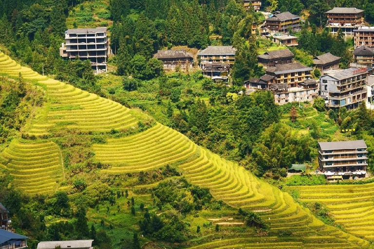 Guilin Longji: Rice Terrace with Oil-Tea Demo &amp; Zhuang Lunch