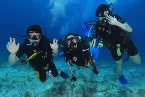 Cancún: Cozumel 2-Tank Diving Tour with Lunch & Transfers