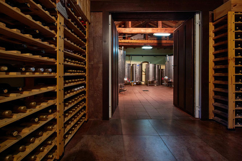 Segovia: Winery Tour with Wine Tasting Segovia: Tour with Wine Tasting